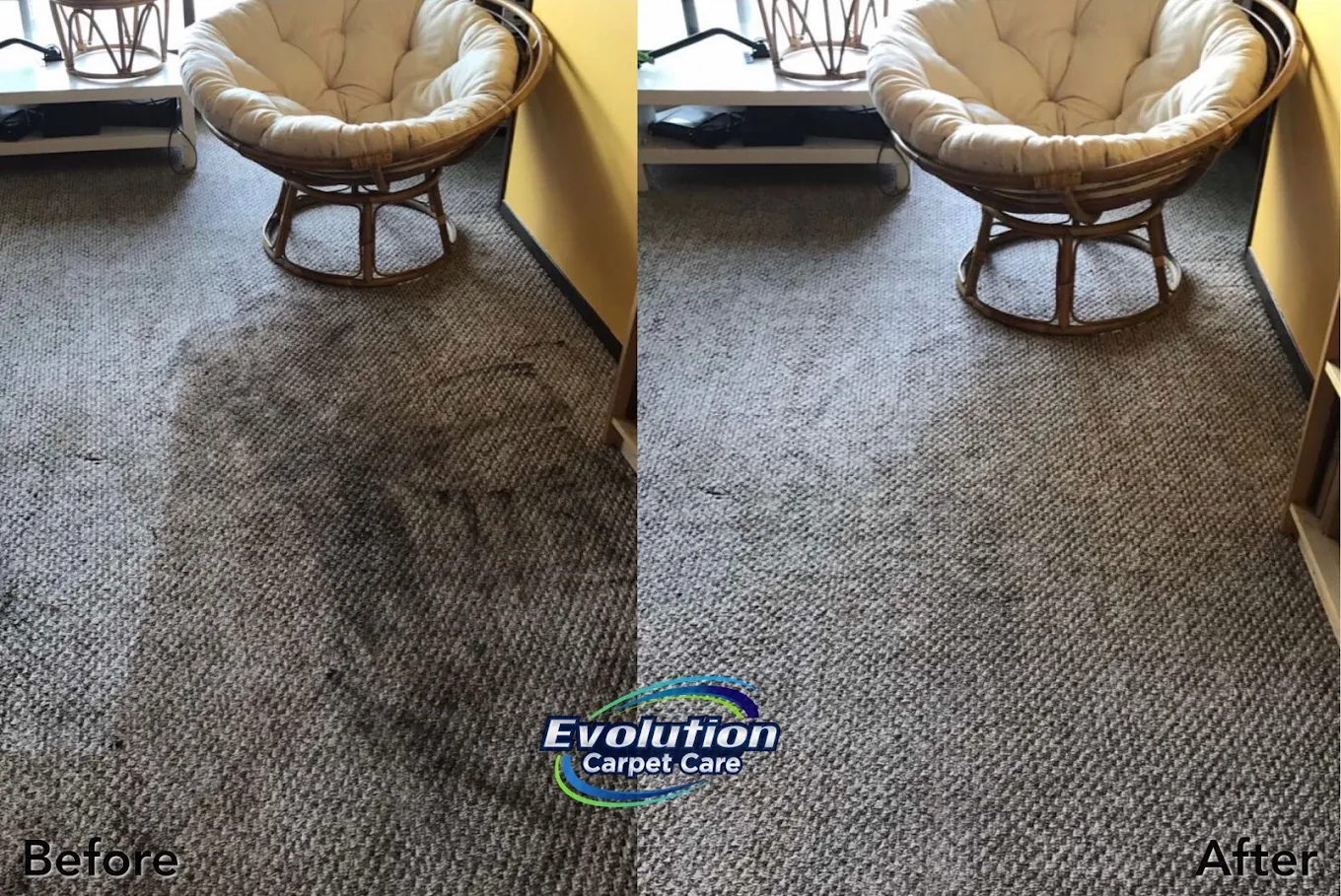 Evolution Carpet Care